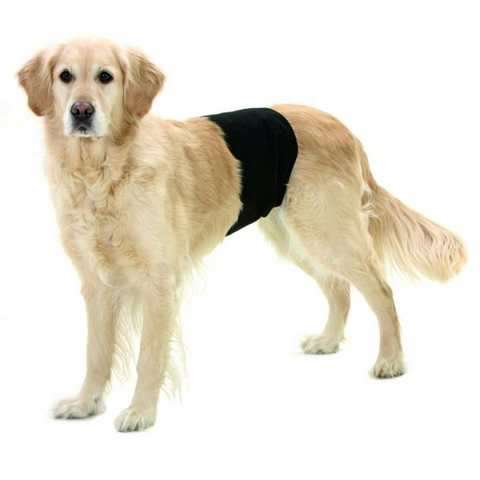 Schutzhosen für Rüden "Gentleman Wraps"